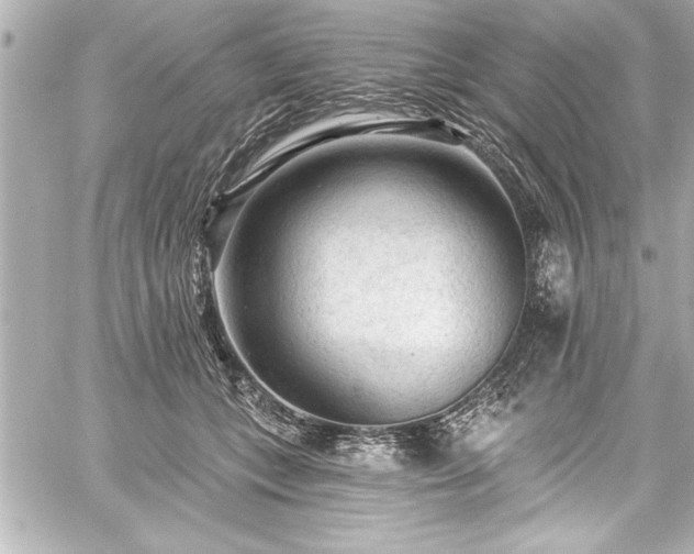 X0000059100559200510101221