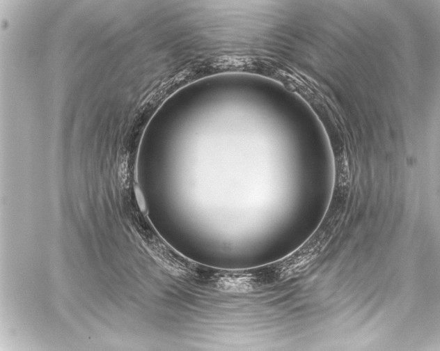 X0000059100560200510101221