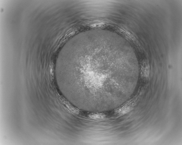 X0000059100561200510101221