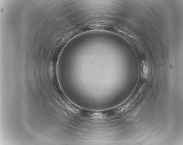 X0000059100562200510101221