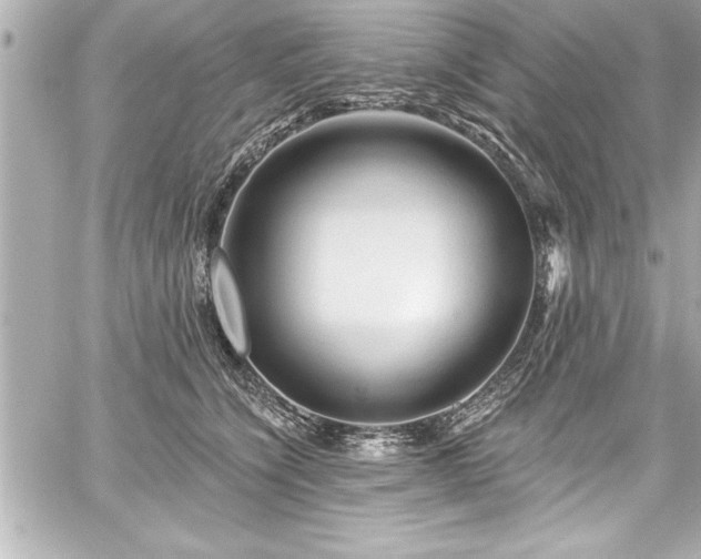 X0000059100564200510101221