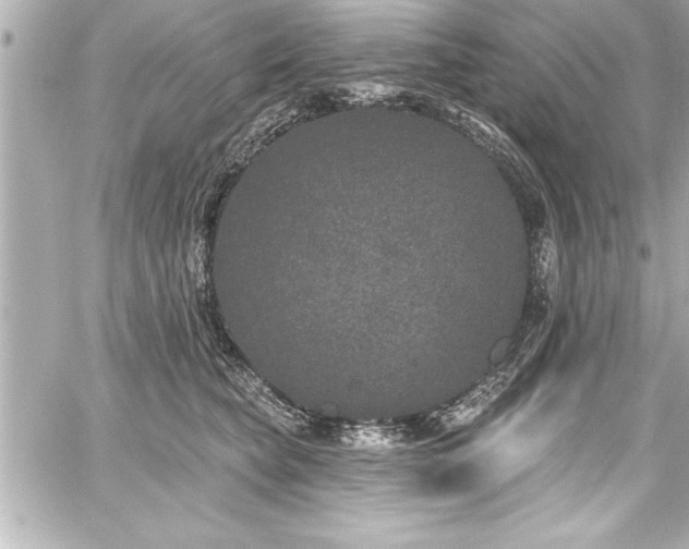 X0000059100565200510101221