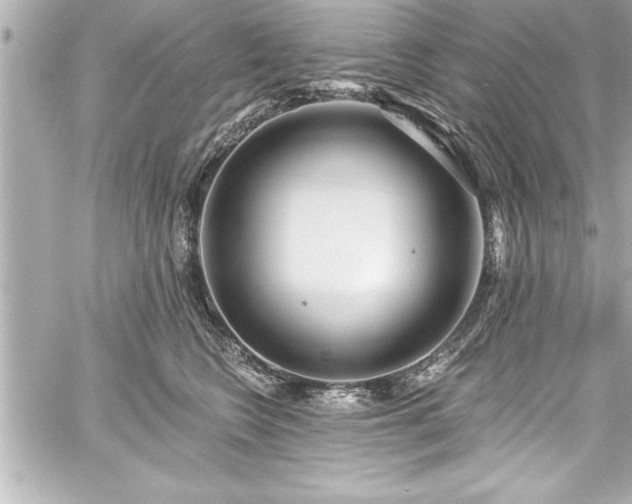 X0000059100566200510101221