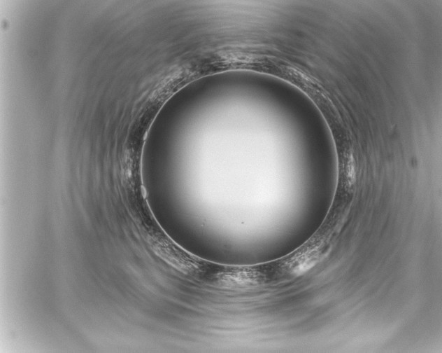 X0000059100567200510101221