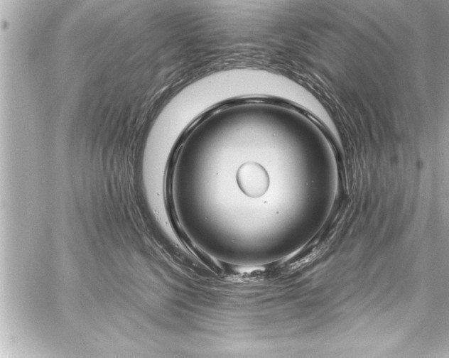 X0000059100568200510101221