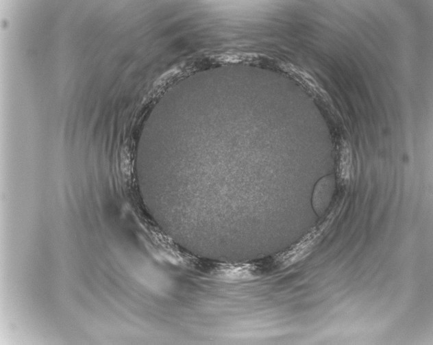 X0000059100569200510101221