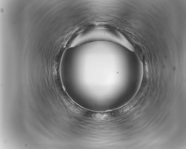 X0000059100570200510101221