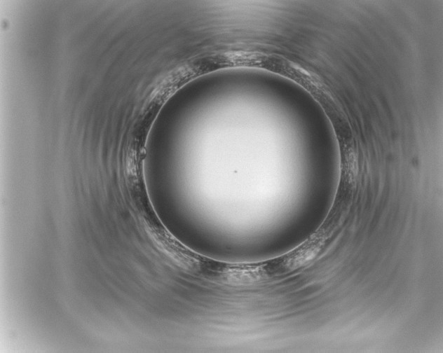 X0000059100571200510101221