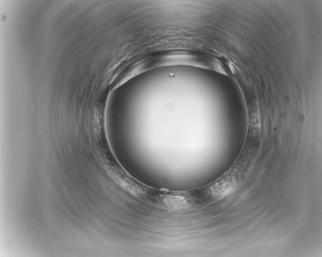 X0000059100572200510101221