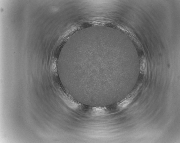 X0000059100573200510101221