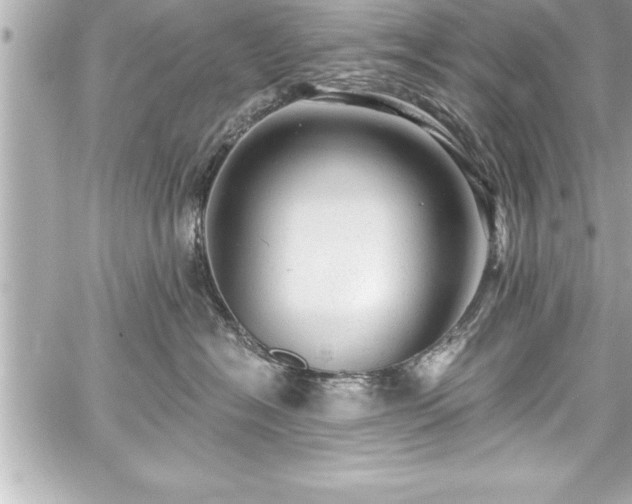 X0000059100574200510101221