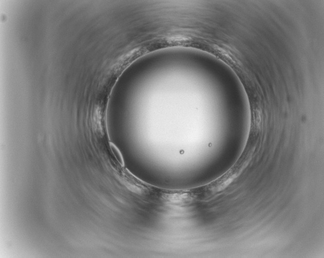 X0000059100575200510101221