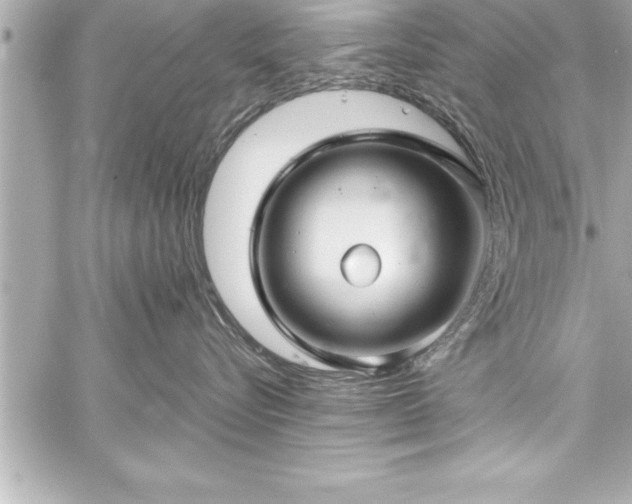 X0000059100576200510101221