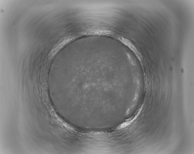 X0000059100577200510101221