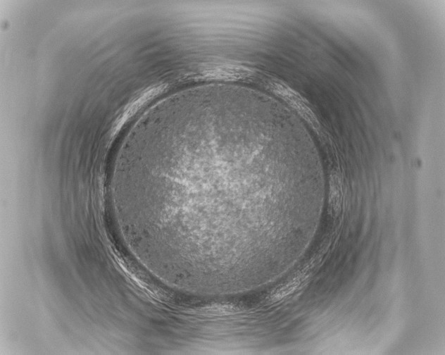 X0000059100578200510101221