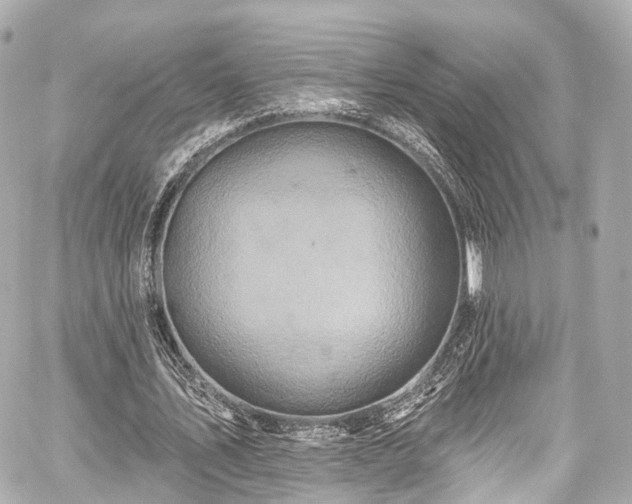 X0000059100579200510101221