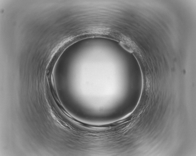 X0000059100580200510101221