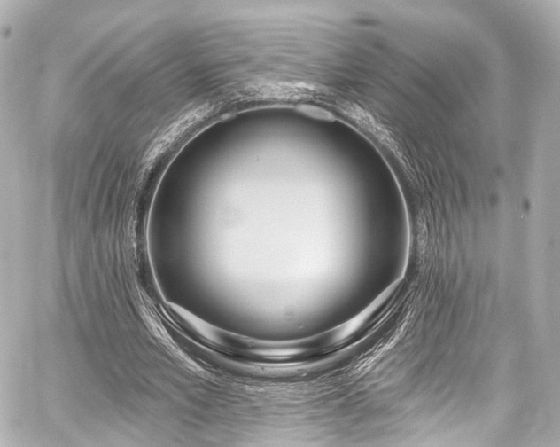 X0000059100581200510101221