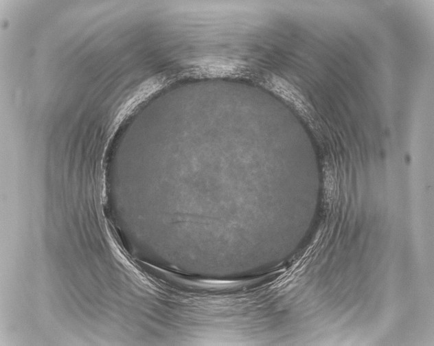 X0000059100582200510101221