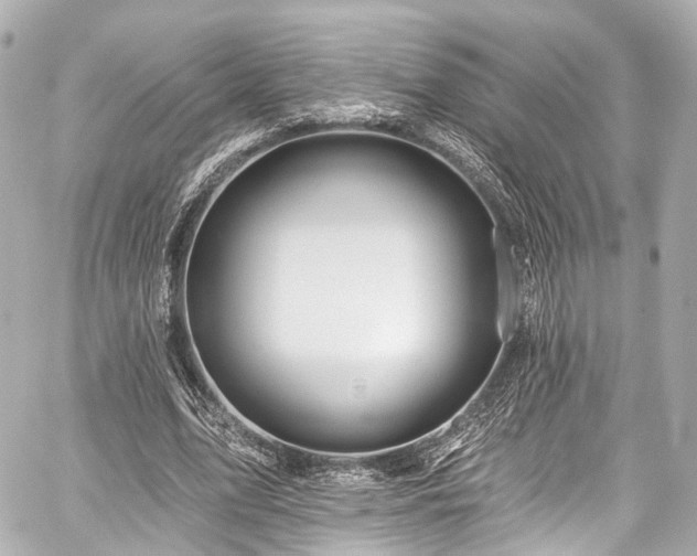 X0000059100583200510101221