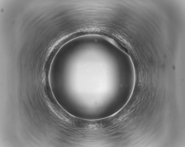 X0000059100584200510101220