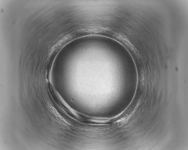 X0000059100585200510101220