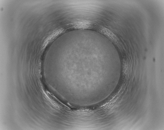 X0000059100586200510101220