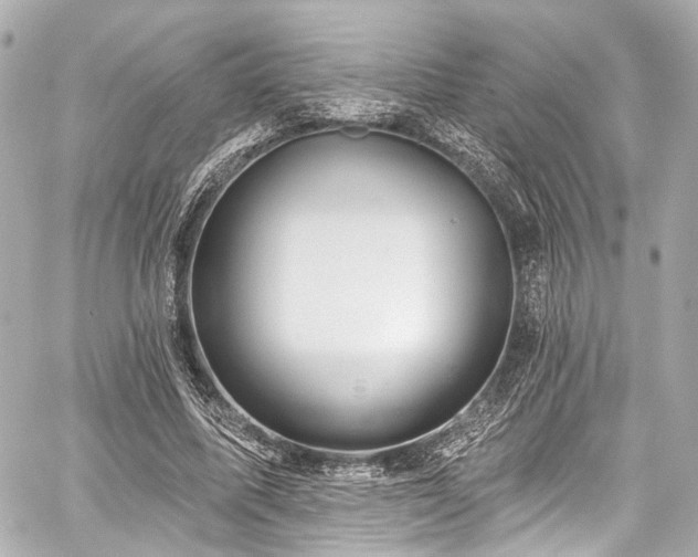 X0000059100587200510101220