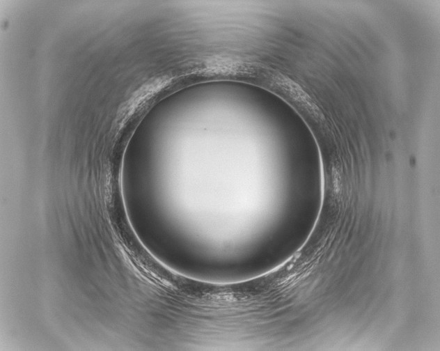 X0000059100588200510101220