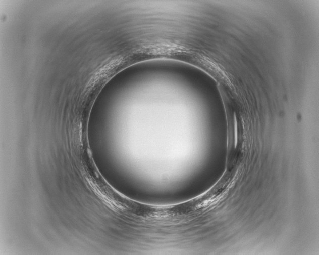 X0000059100589200510101220