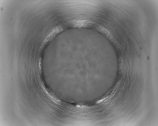 X0000059100590200510101220