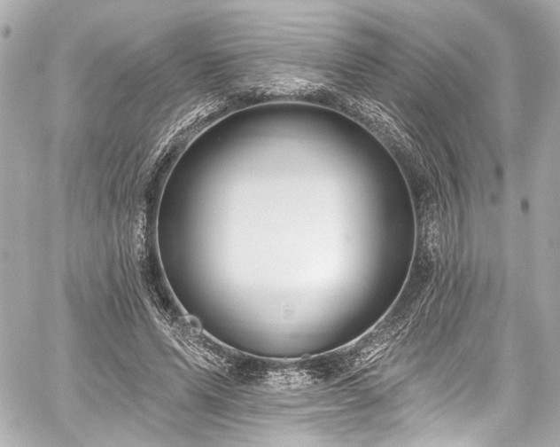 X0000059100591200510101220