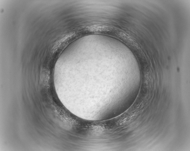 X0000059100592200510101220