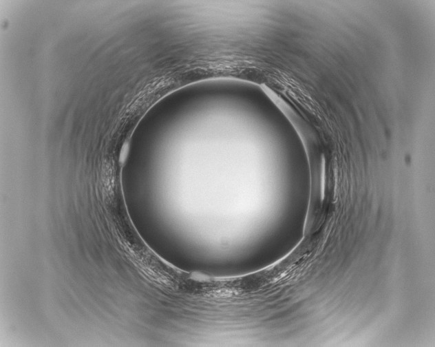 X0000059100593200510101220