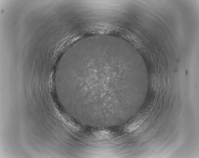 X0000059100594200510101220