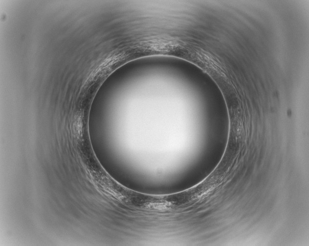 X0000059100595200510101220