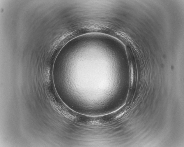 X0000059100596200510101220