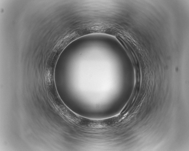 X0000059100597200510101220