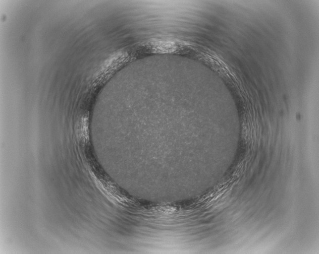 X0000059100598200510101220