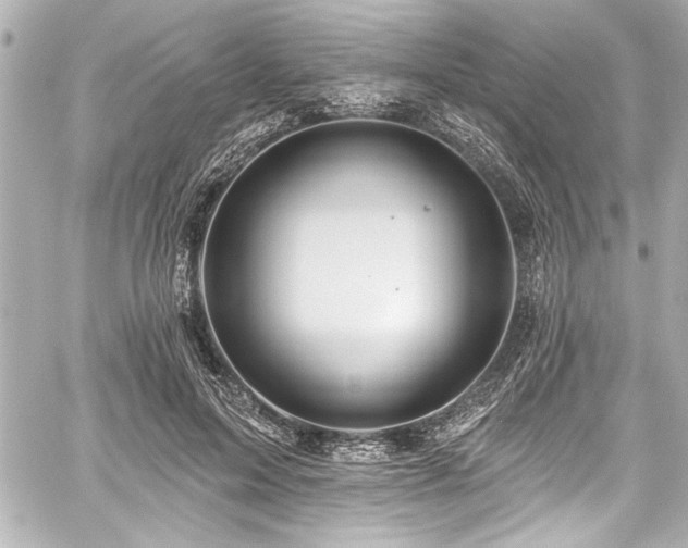 X0000059100599200510101220