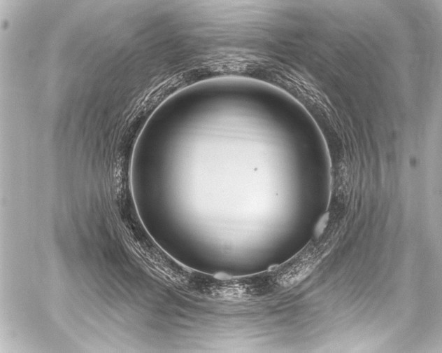 X0000059100600200510101220