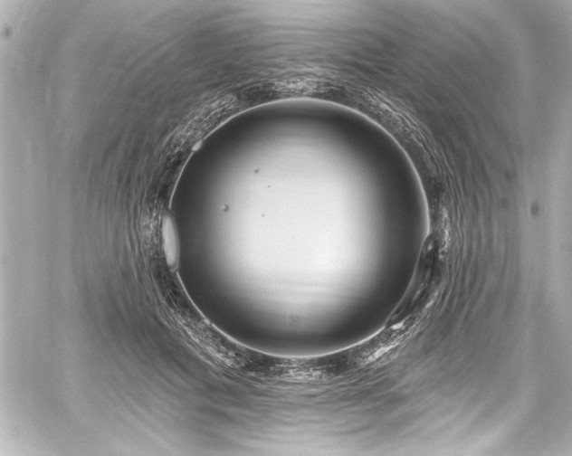 X0000059100601200510101220