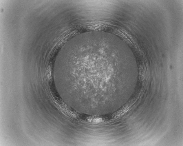 X0000059100602200510101220