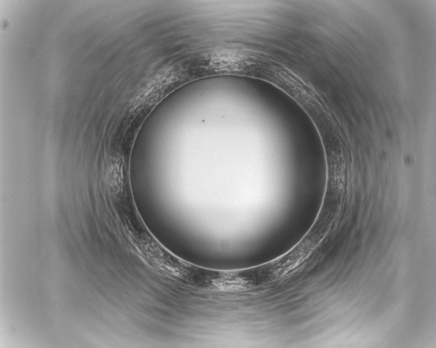 X0000059100603200510101220