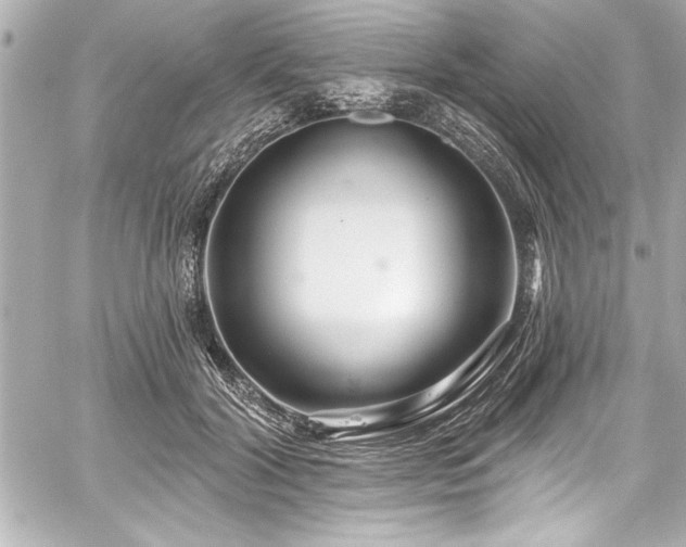 X0000059100604200510101220