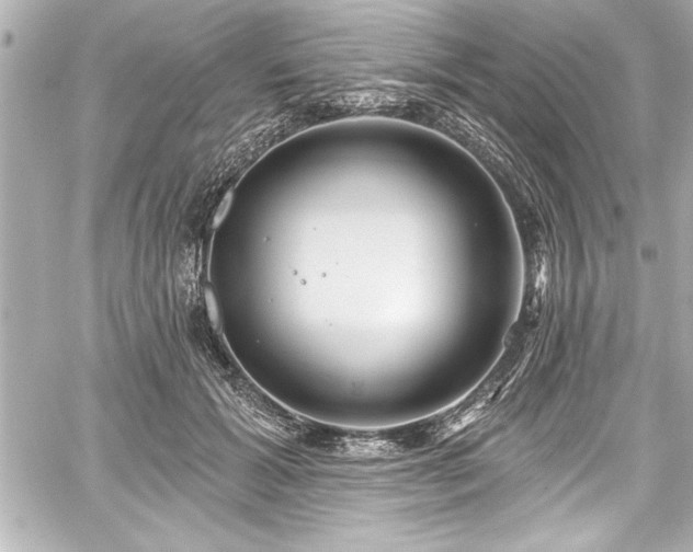 X0000059100605200510101220