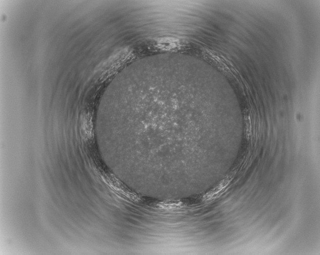 X0000059100606200510101220