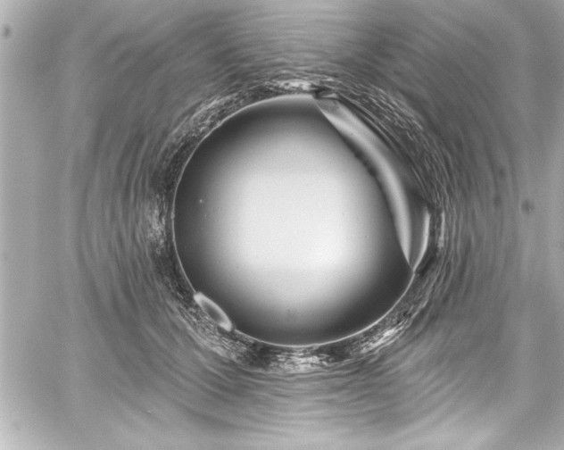 X0000059100607200510101220