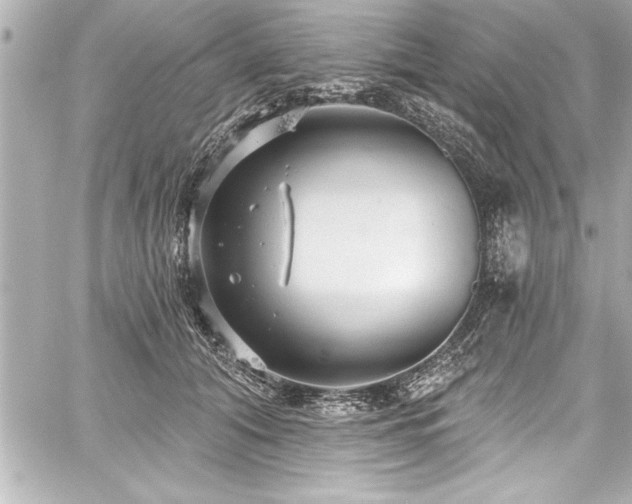 X0000059100608200510101220