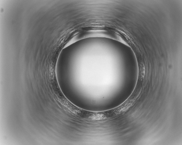 X0000059100609200510101220